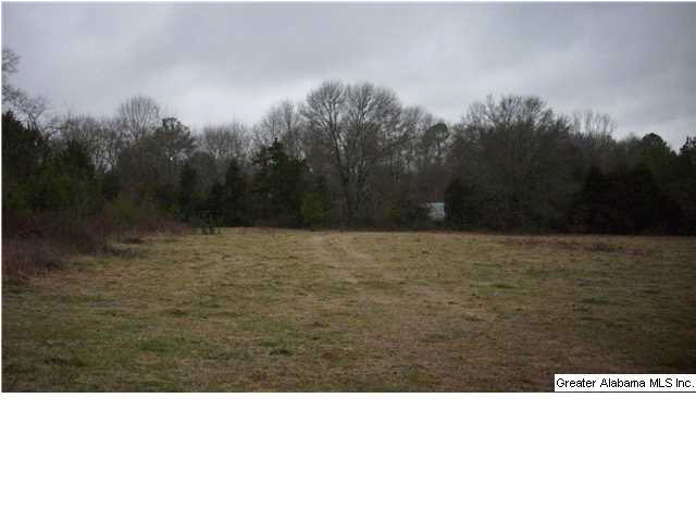 Peaceful Valley Road, Unit 38 5 Eastaboga, AL 36260 - Photo 6 of 11