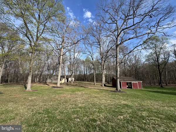 a view of a ground with lots of trees