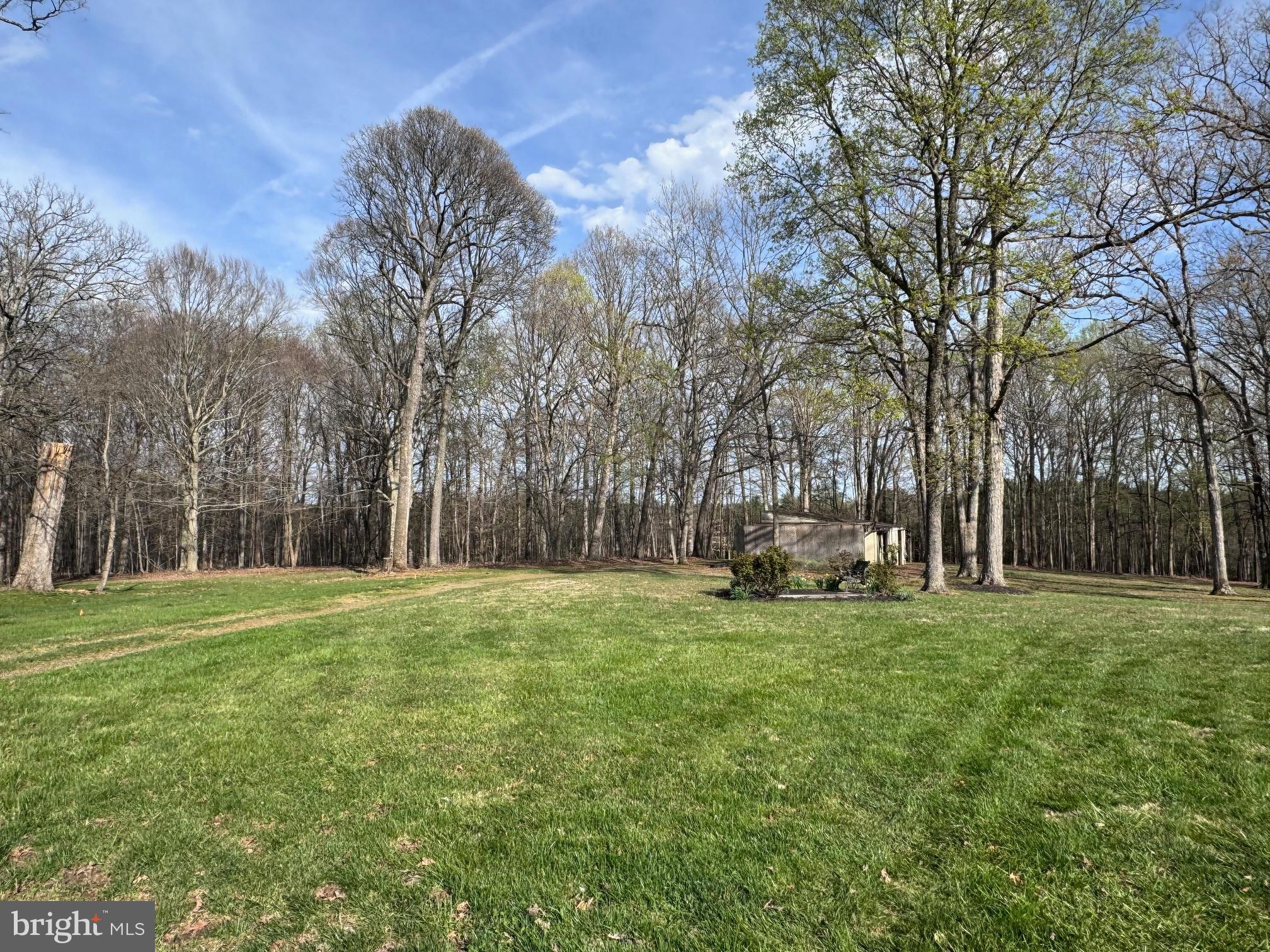 6375 Union Mill Road Clifton, VA 20124 - Photo 4 of 34 a view of a park with large trees