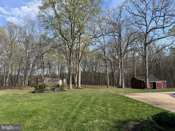 a view of a backyard with flowers and trees