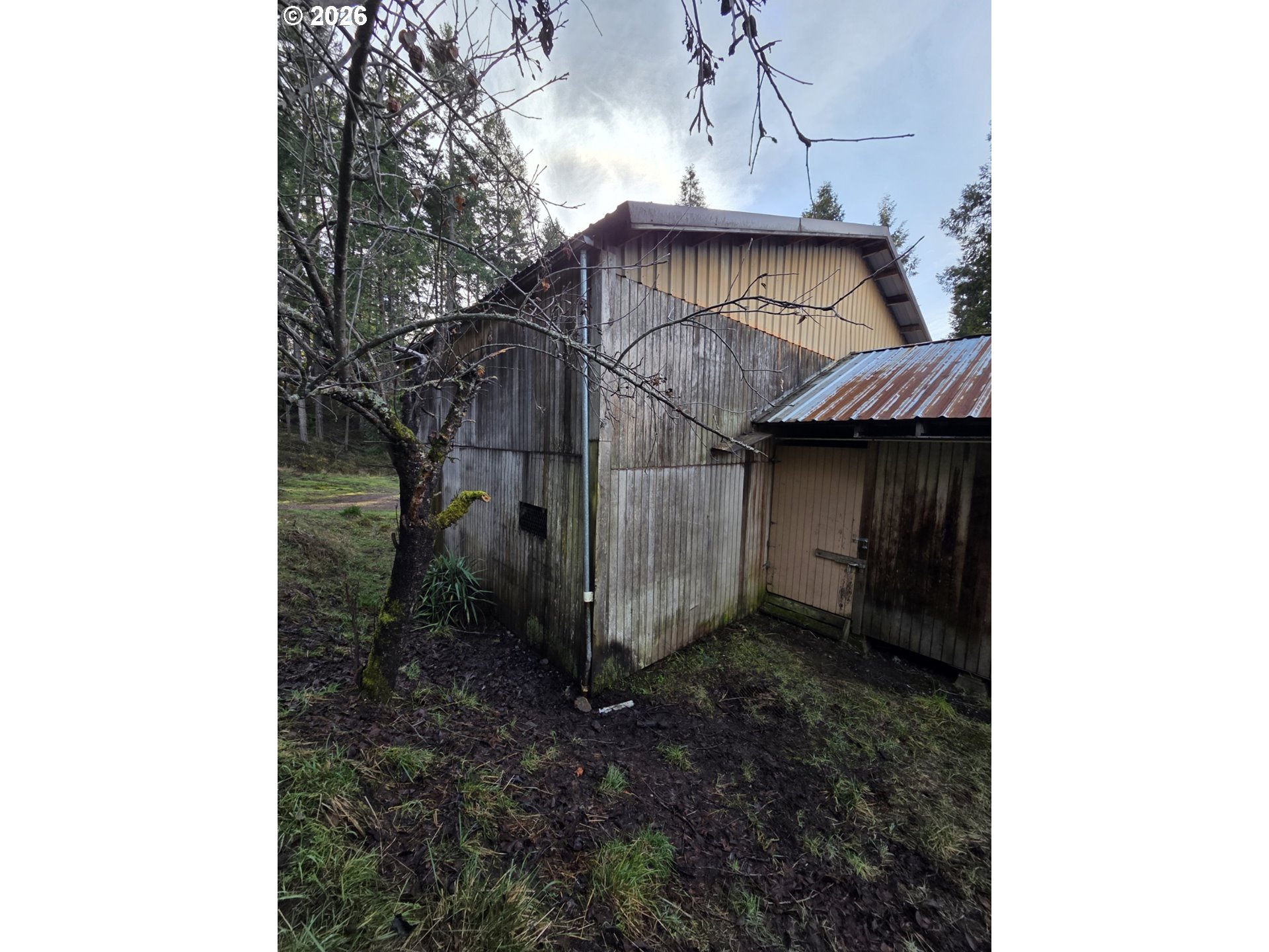 781 Pine Ridge Drive Glide, OR 97443 - Photo 16 of 29