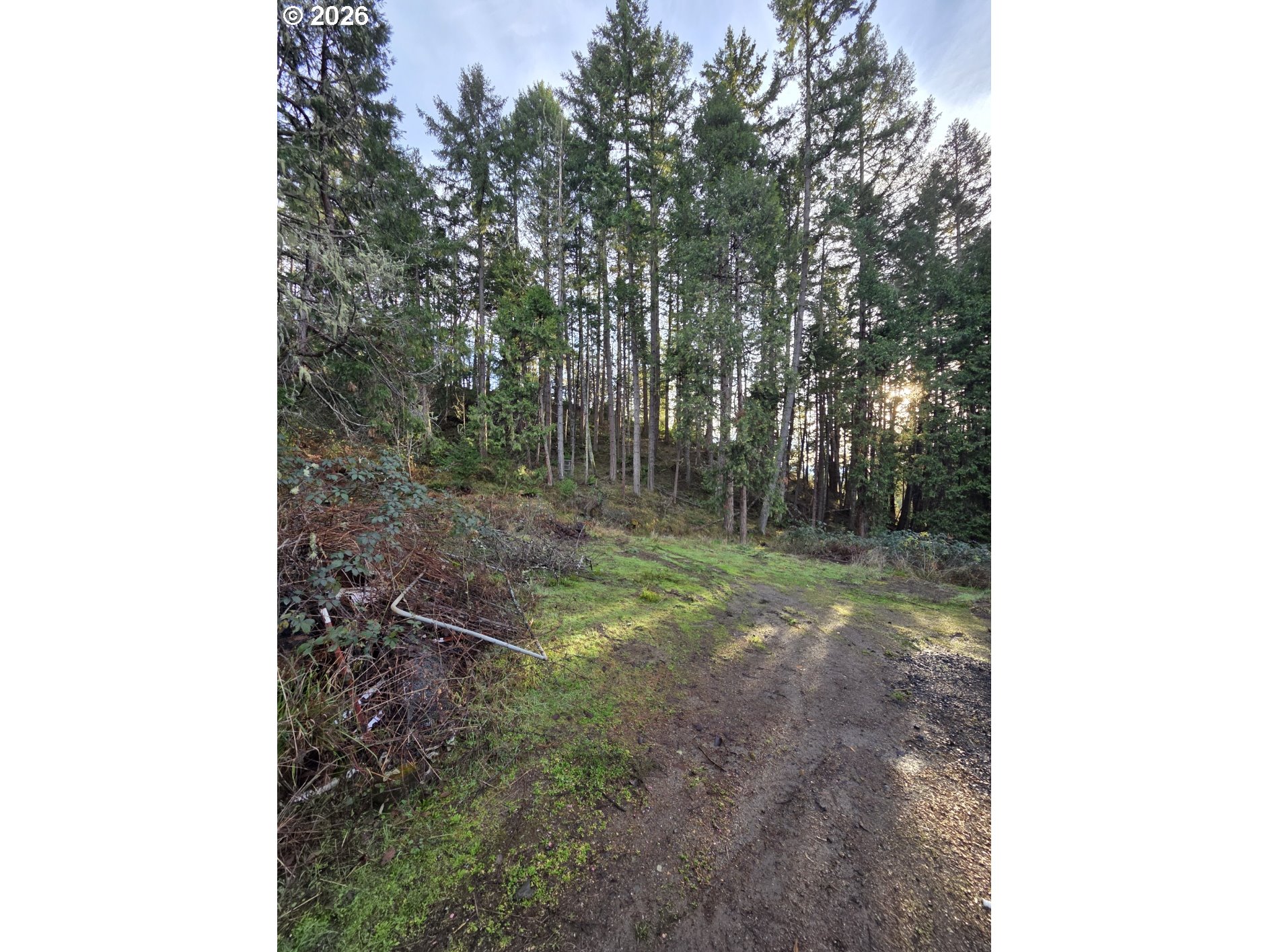 781 Pine Ridge Drive Glide, OR 97443 - Photo 24 of 29