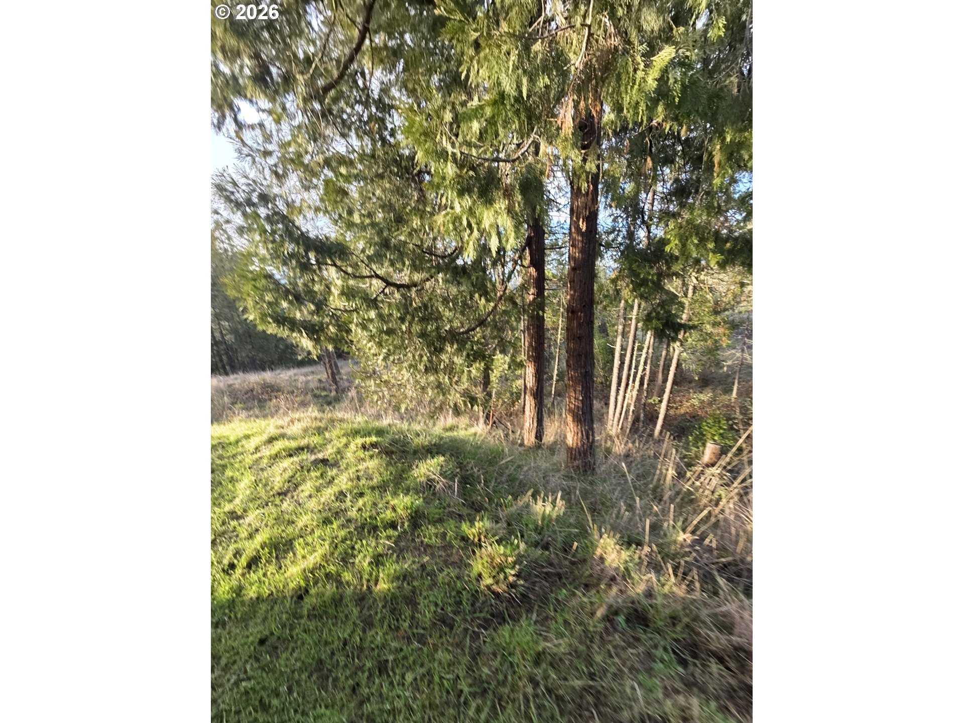 781 Pine Ridge Drive Glide, OR 97443 - Photo 25 of 29