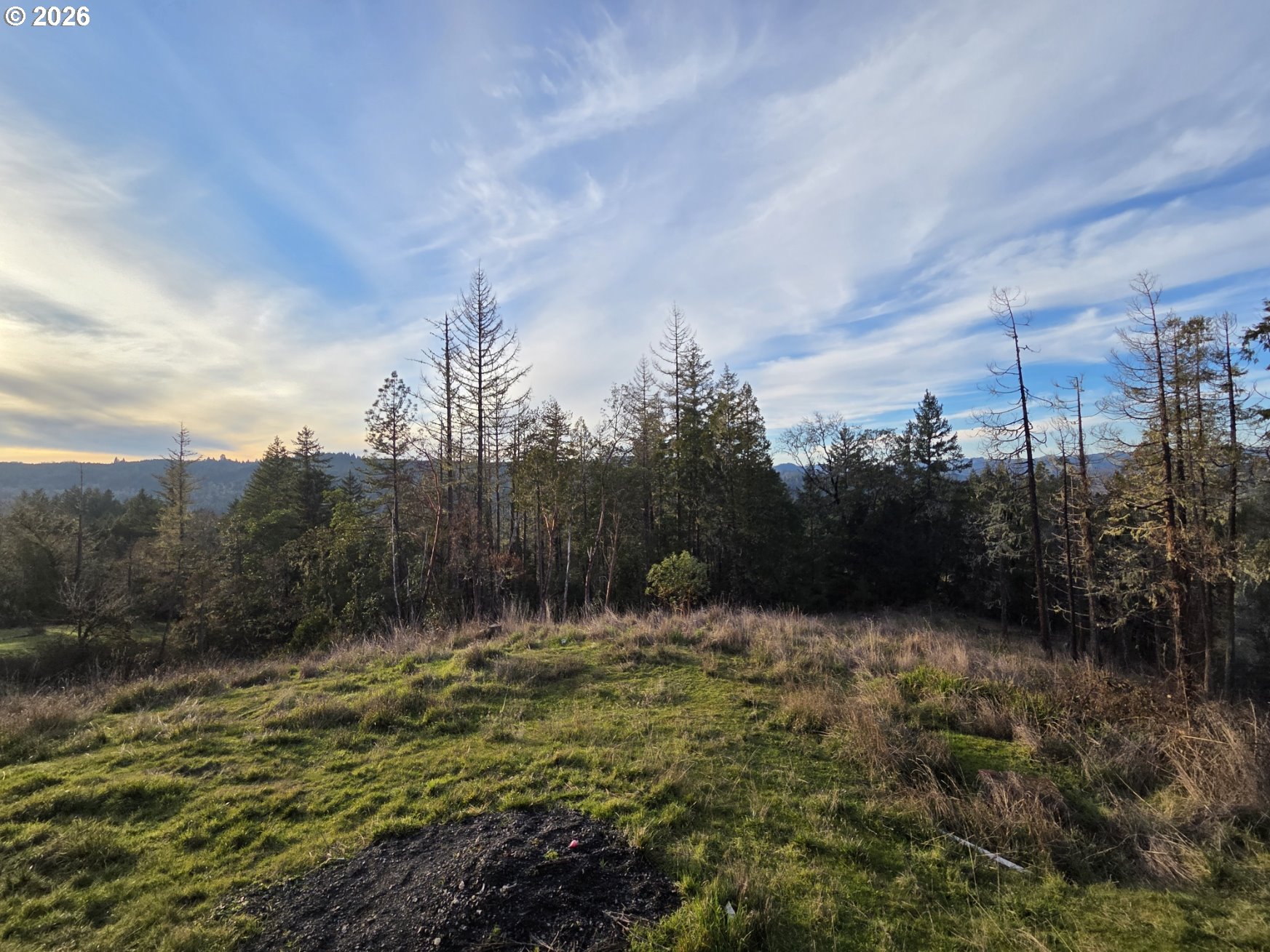 781 Pine Ridge Drive Glide, OR 97443 - Photo 28 of 29