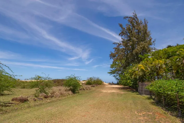 a view of a backyard of the house
