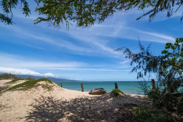 a view of a lake with a yard