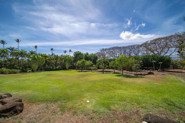 a view of a lake with houses in the back