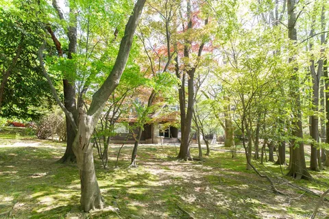 a view of a trees with a yard