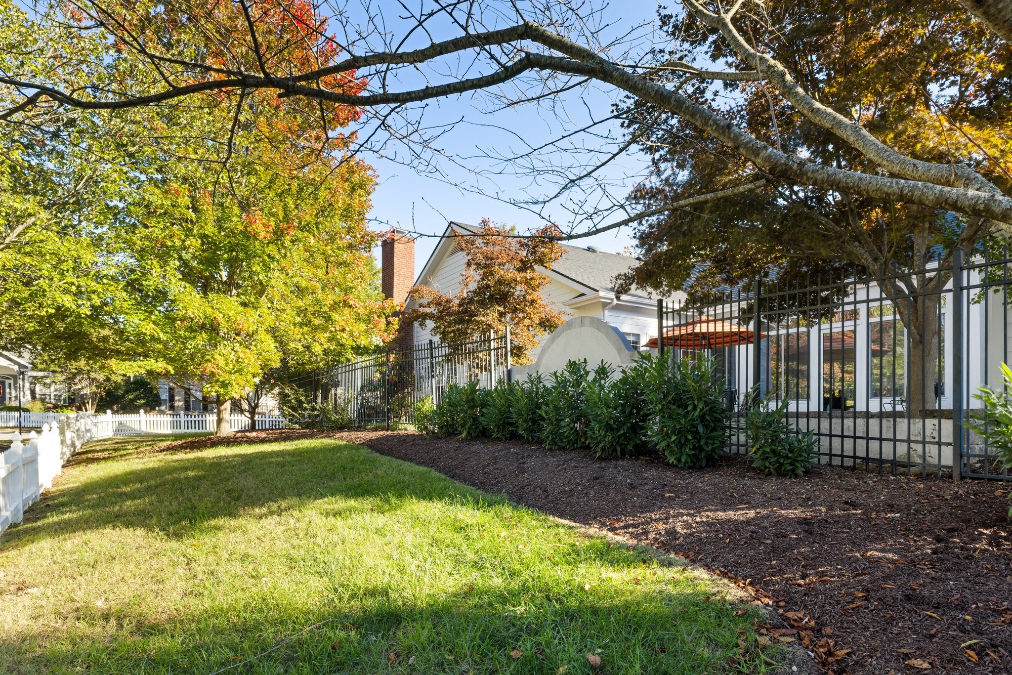 541 Marigold Drive Franklin, TN 37064 - Photo 68 of 69 a view of a yard with plants and large trees