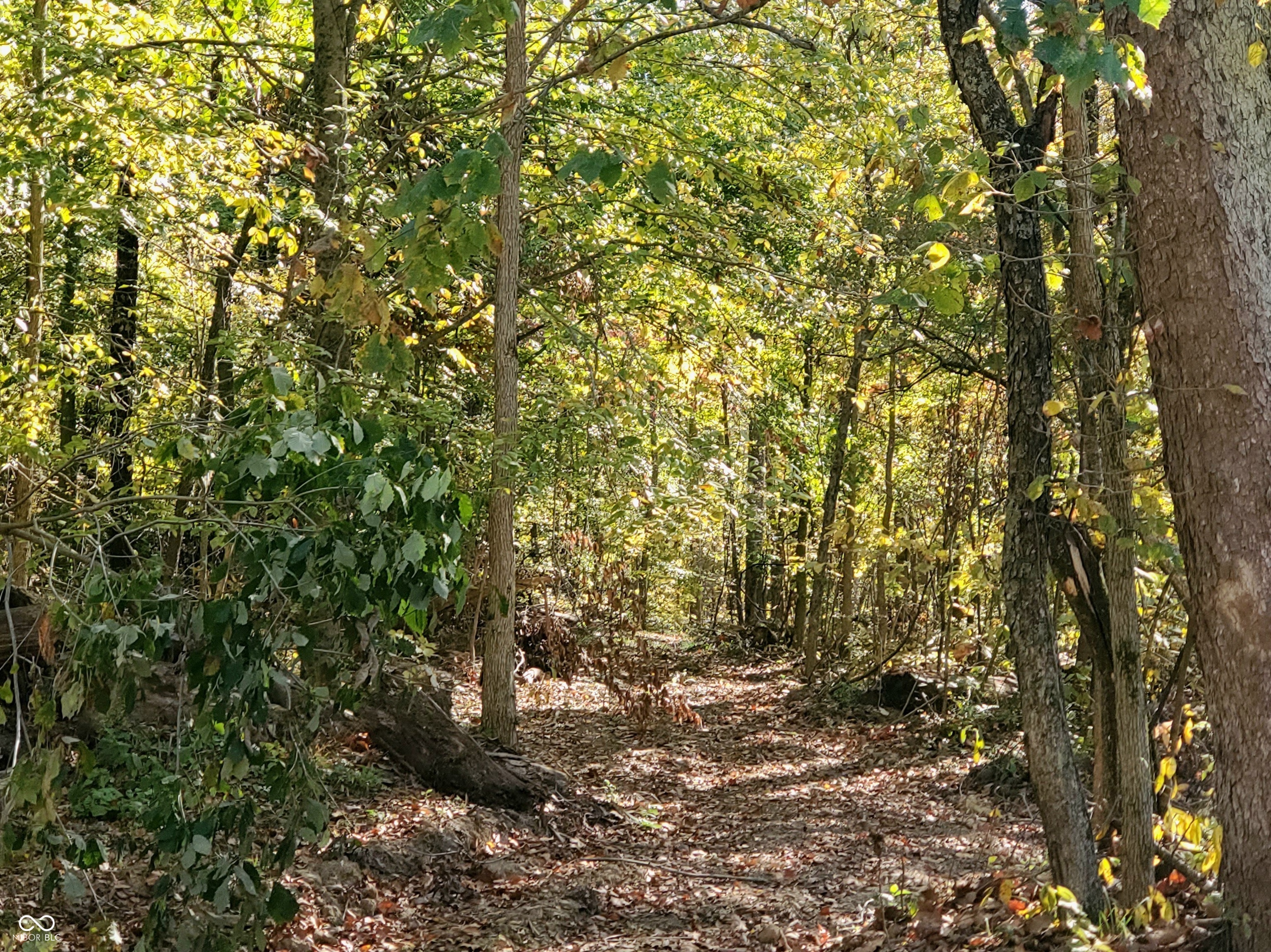 0 White Springs Road Spencer, IN 47460 - Photo 2 of 8 Gallery Image 2
