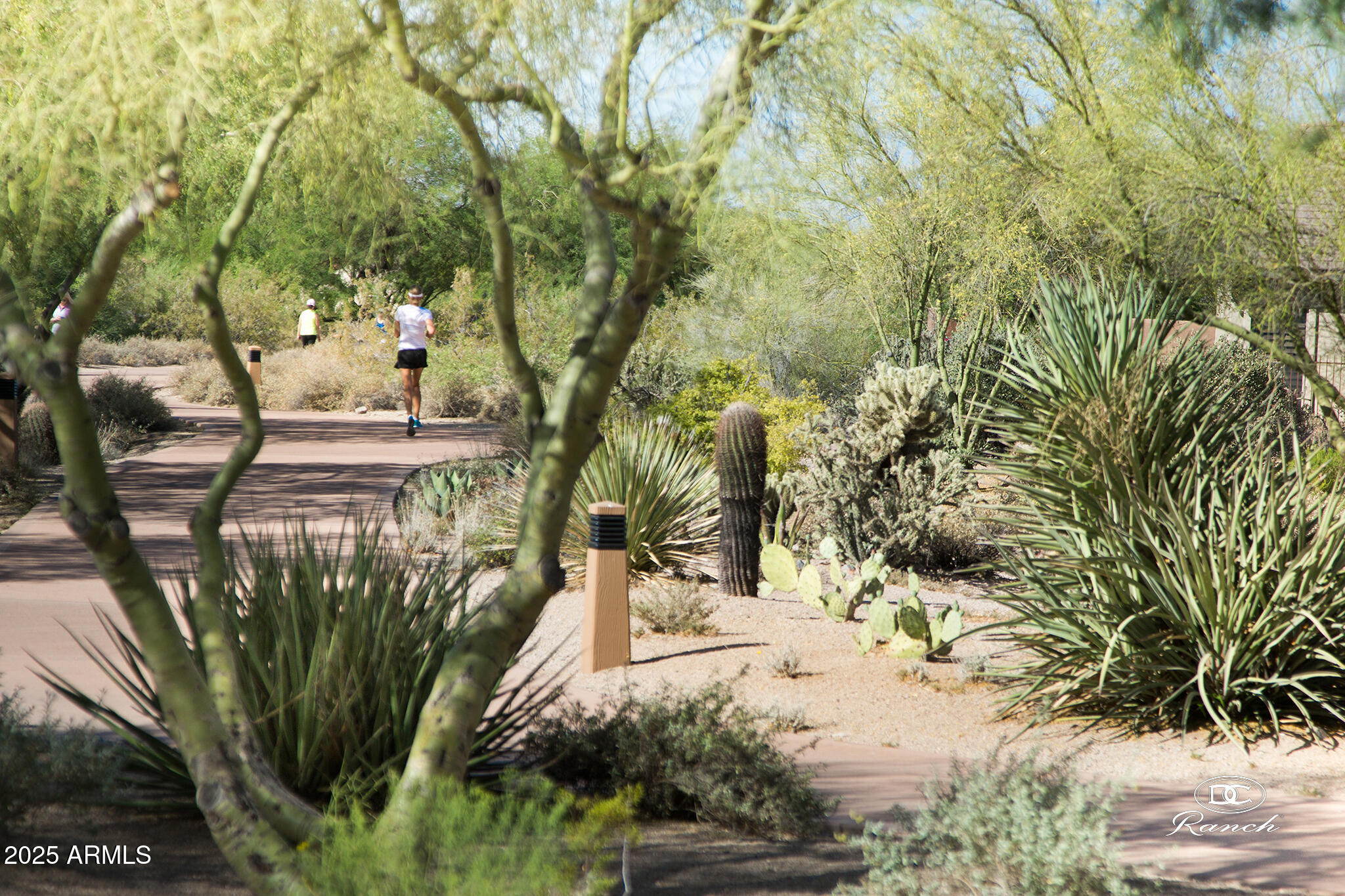 9201 East Canyon View Road Scottsdale, AZ 85255 - Photo 49 of 54 Path and Trail System 1