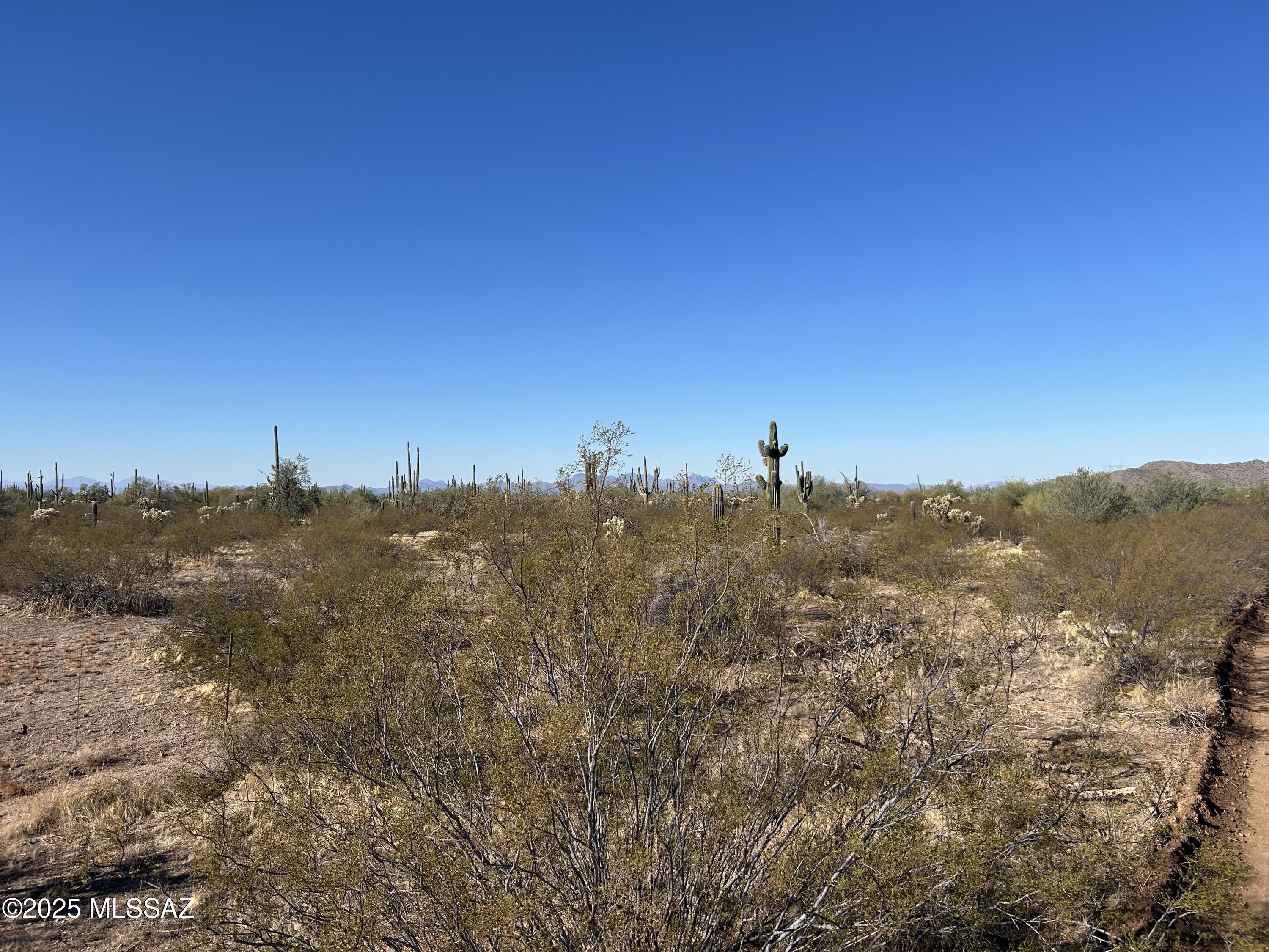 X South Cattle Tank Road Marana, AZ 85658 - Photo 7 of 8