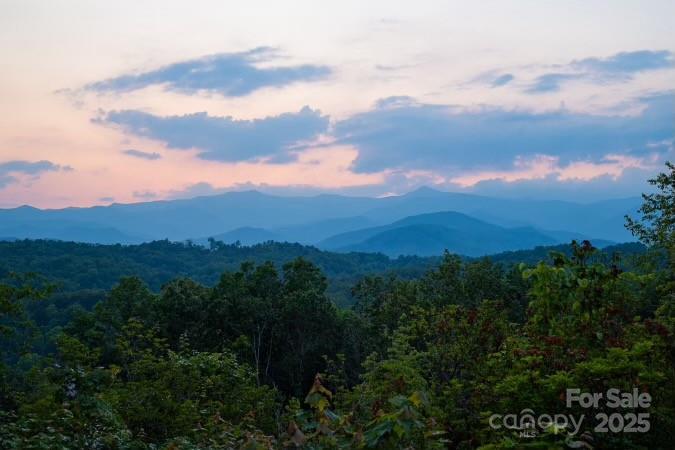 a view of a city with lush green forest