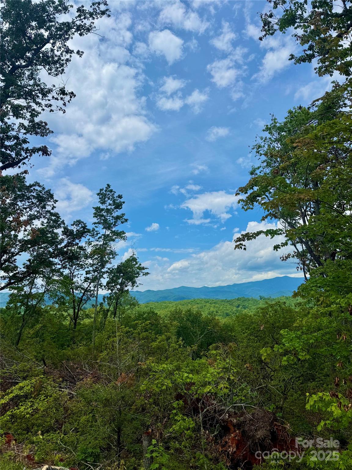 200 Warren Ridge Drive, Unit 8 Old Fort, NC 28762 - Photo 4 of 19 a view of a tree in a backyard of a house