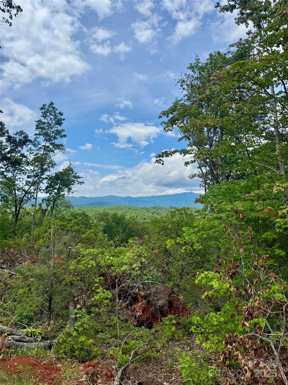 200 Warren Ridge Drive, Unit 8 Old Fort, NC 28762 - Photo 5 of 19 a view of a bunch of trees