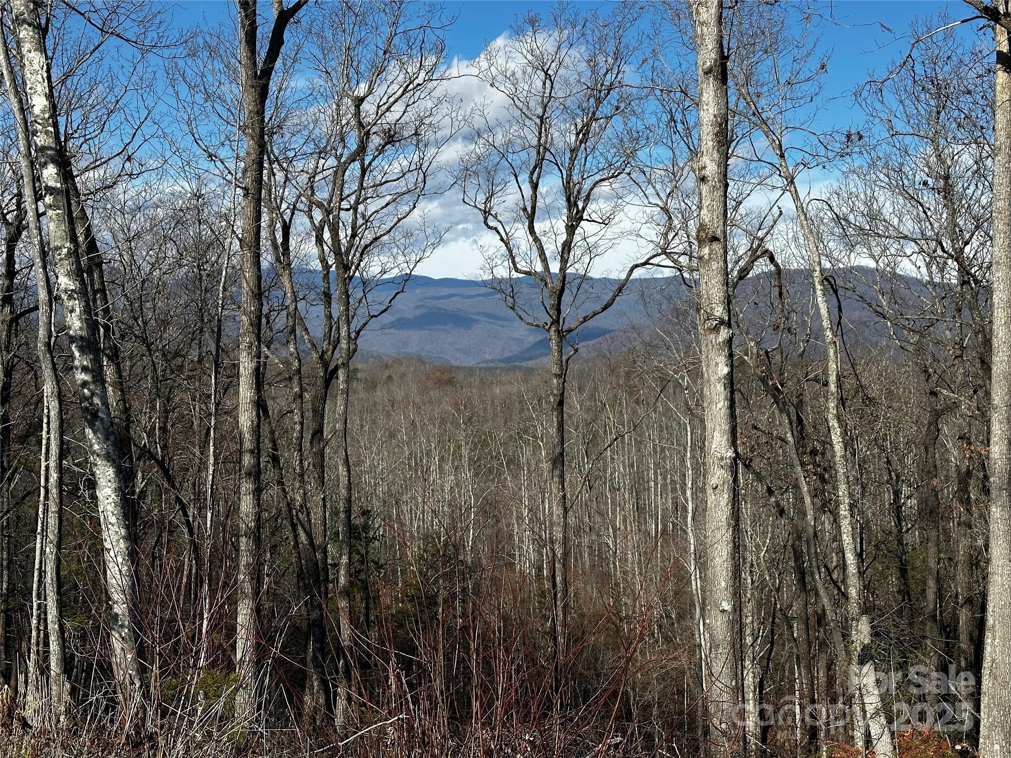 200 Warren Ridge Drive, Unit 8 Old Fort, NC 28762 - Photo 6 of 19 a view of a yard with a tree