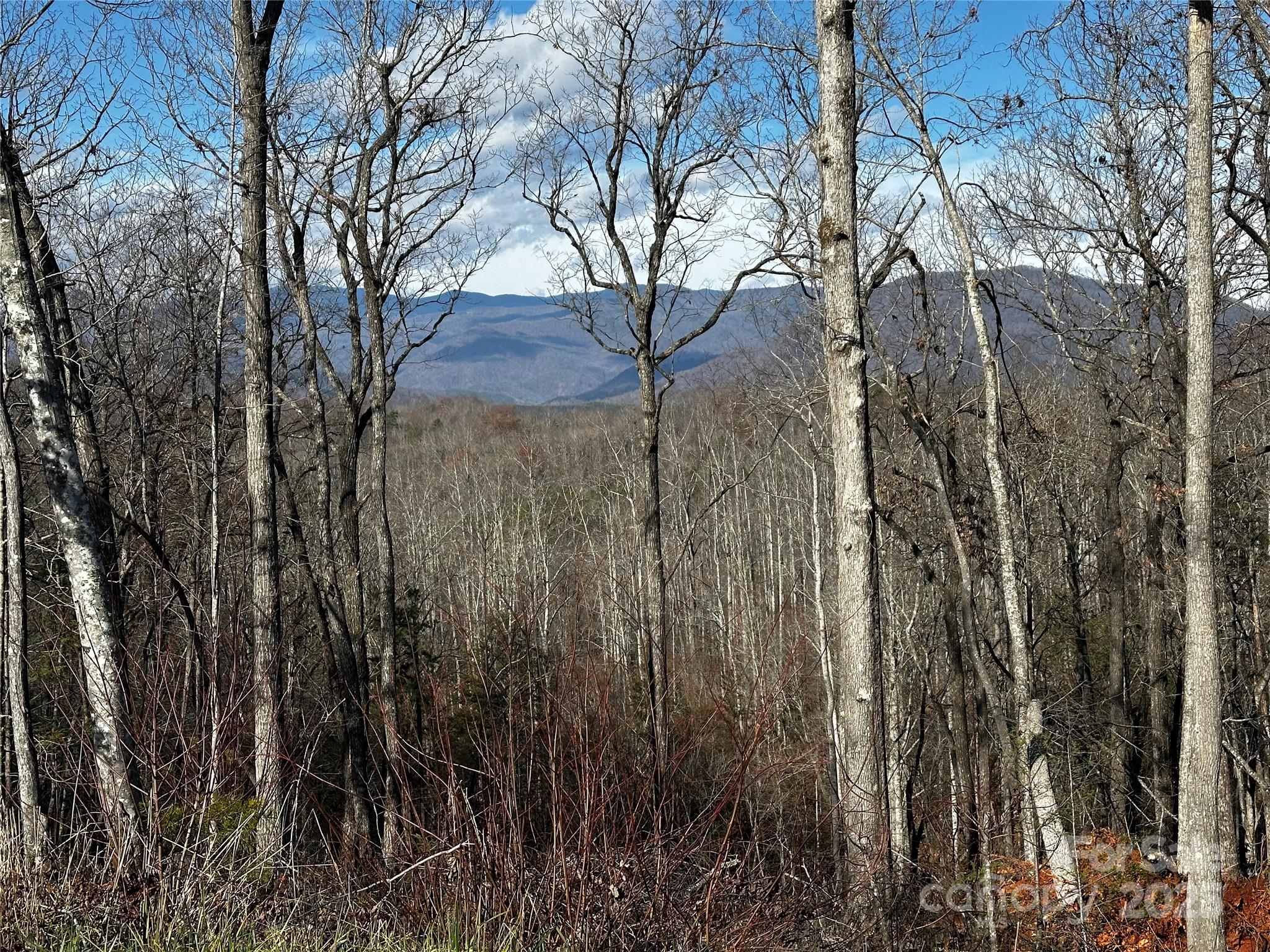 200 Warren Ridge Drive, Unit 8 Old Fort, NC 28762 - Photo 8 of 19 a view of a yard with trees