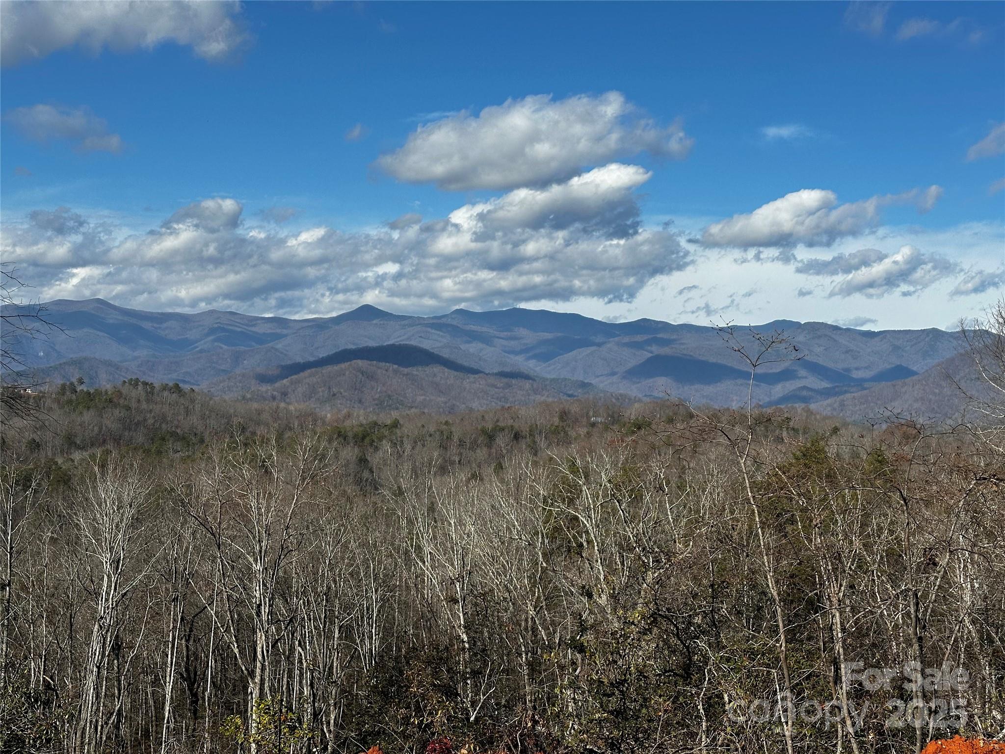 200 Warren Ridge Drive, Unit 8 Old Fort, NC 28762 - Photo 9 of 19 a view of mountain with lake view