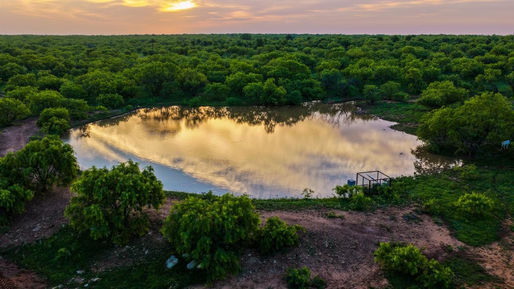 10000 Fm 209 Graham, TX 76450 - Photo 36 of 40