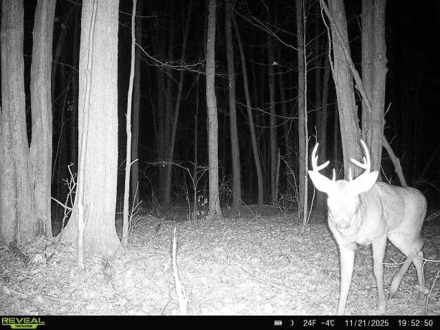 240701 Sawmill Road Wausau, WI 54403 - Photo 14 of 22 Gallery Image 14