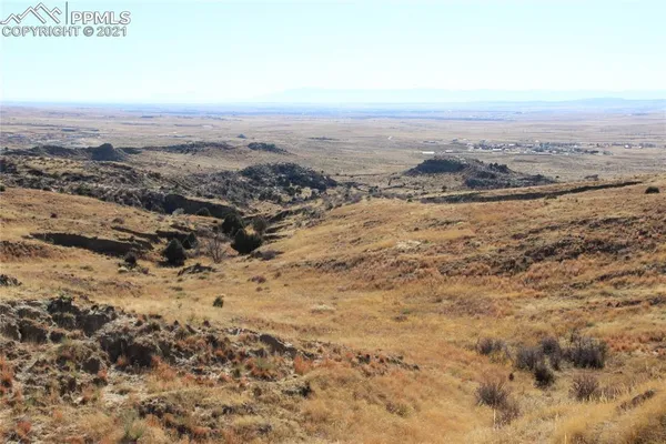 a view of a large body of water with lots of trees in the background
