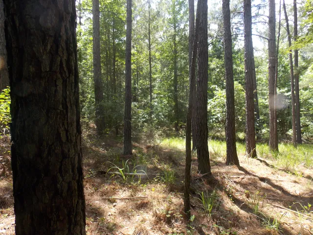 $16,000 | 1054 Pine Point Lane, Tignall, GA 30668