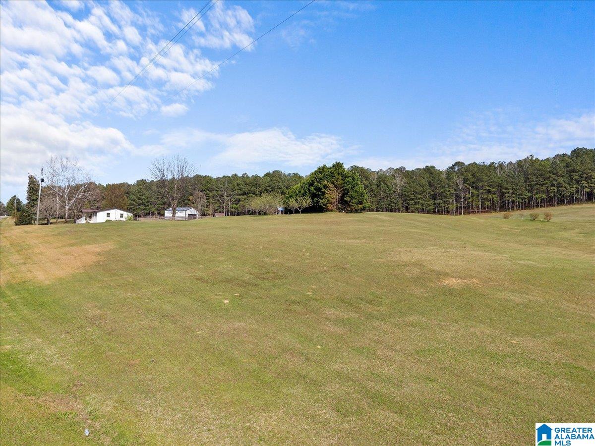 5743 County Highway 27 Springville, AL 35146 - Photo 26 of 46