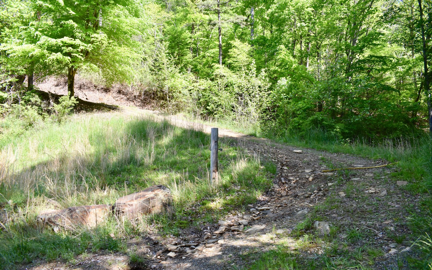 Legion Road Ellijay, GA 30540 - Photo 1 of 4 a backyard of a house with lots of green space