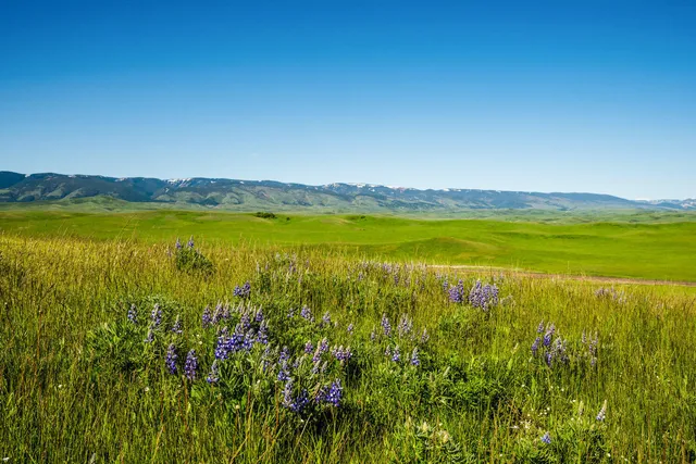 $1,100,000 | 133 Highway 345, Parkman, WY 82838