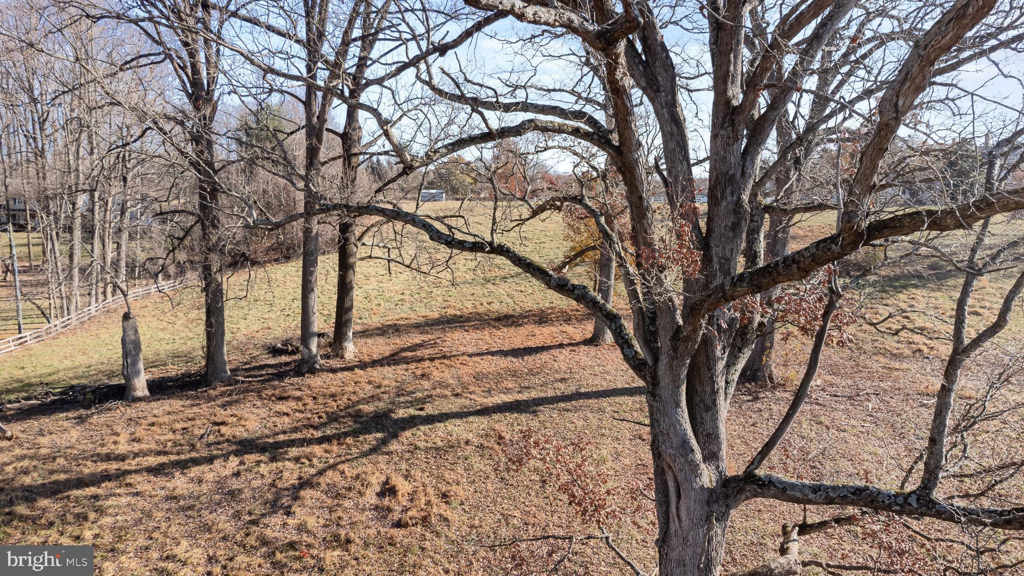5505 Williams Road Hydes, MD 21082 - Photo 35 of 42 a view of a backyard of the house