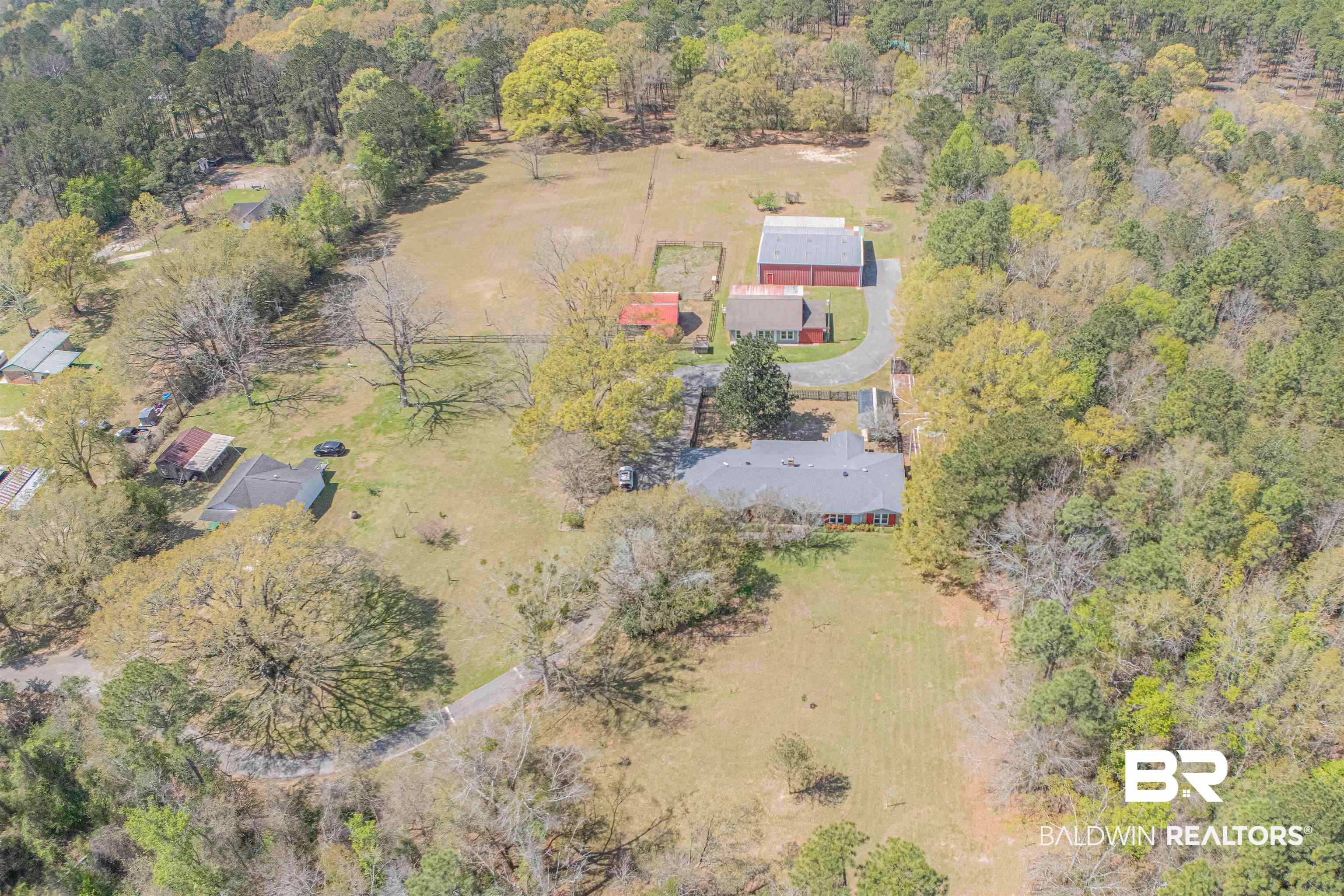 43101 Brown Road Bay Minette, AL 36507 - Photo 76 of 81 Aerial view of a forest