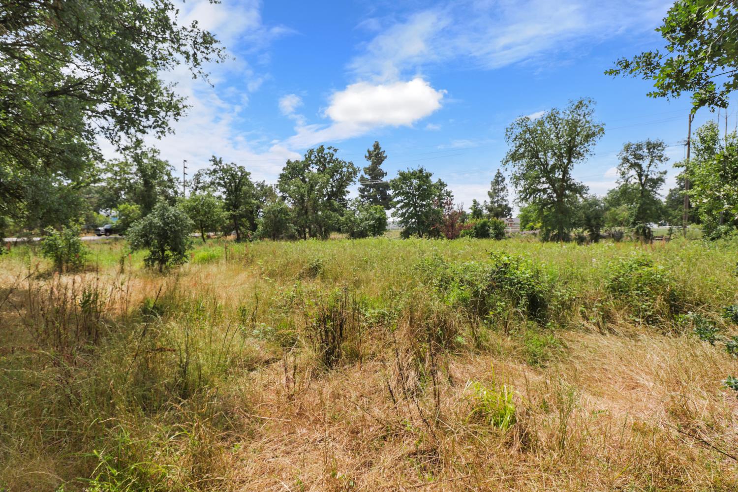 10576 Sheldon Road Elk Grove, CA 95624 - Photo 70 of 74