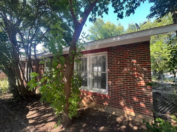 a view of a pathway that has tree in front of it