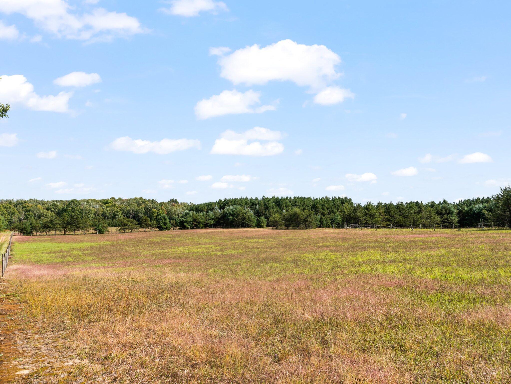 152 North Hawkins Road Reed City, MI 49677 - Photo 21 of 89 68-web-or-mls-DSC00624