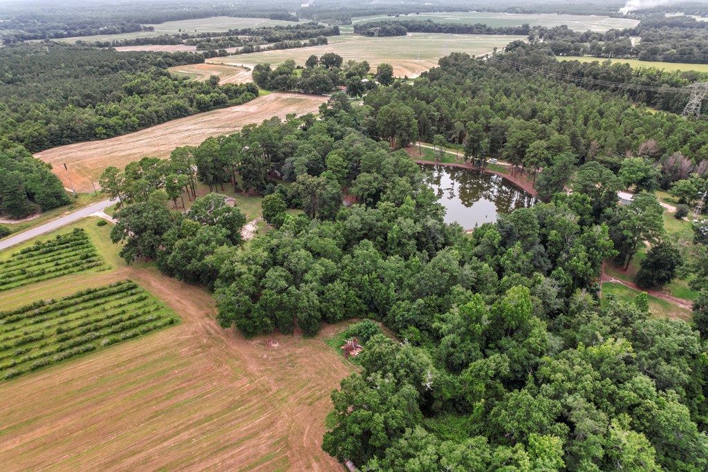 6850 North Co Road Columbia, AL 36319 - Photo 59 of 81