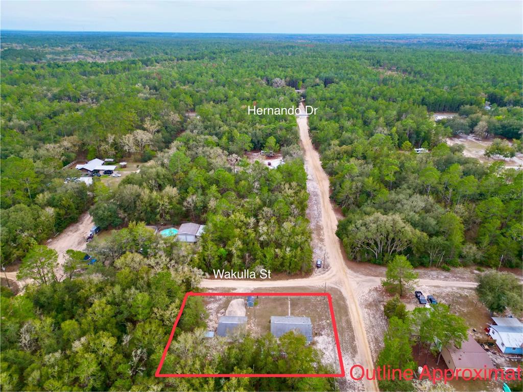 600 Wakulla Street Florahome, FL 32140 - Photo 36 of 47 a view of a garden with an outdoor space