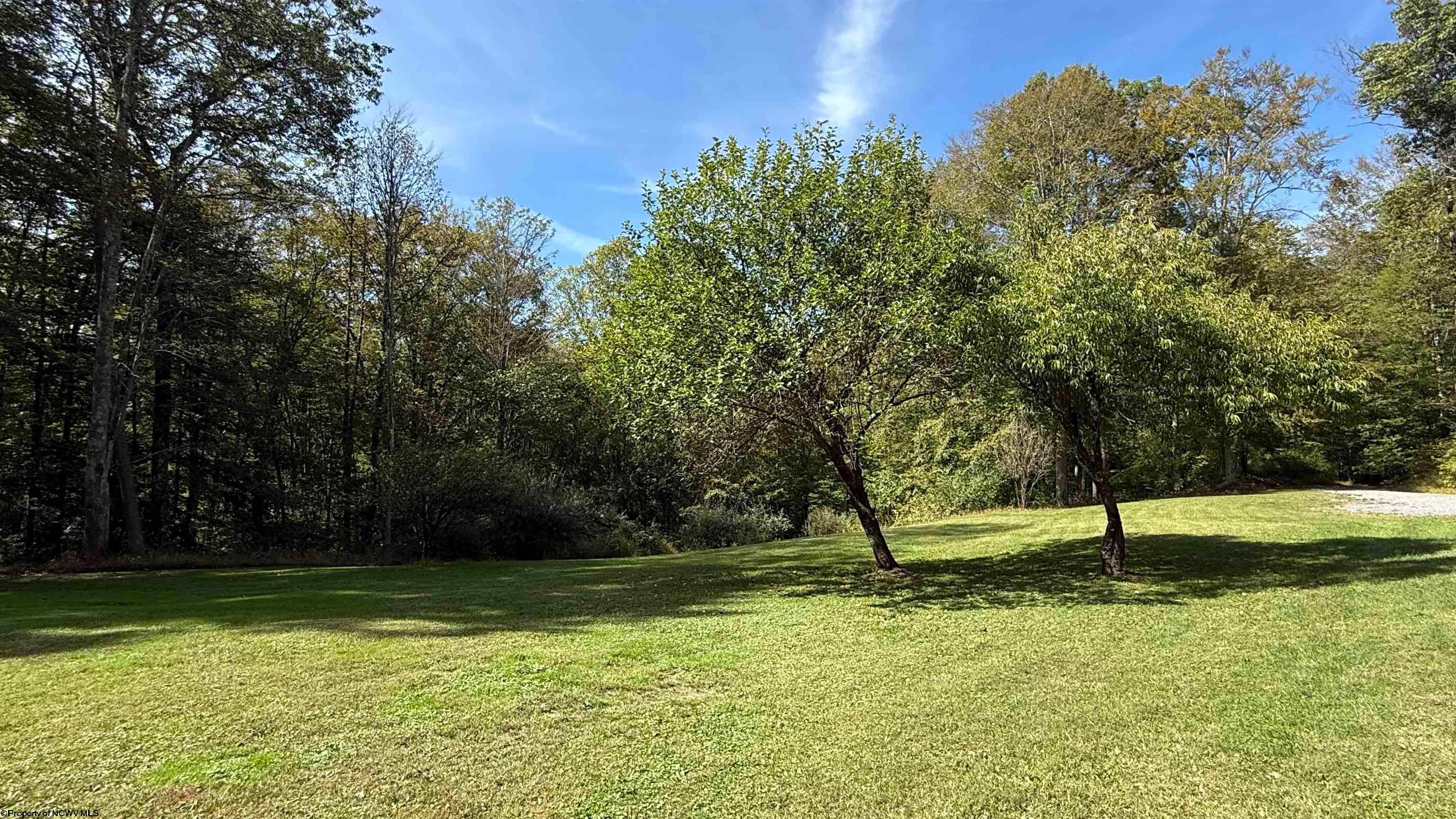 376 Bolyard Road Grafton, WV 26354 - Photo 10 of 48 Gallery Image 10
