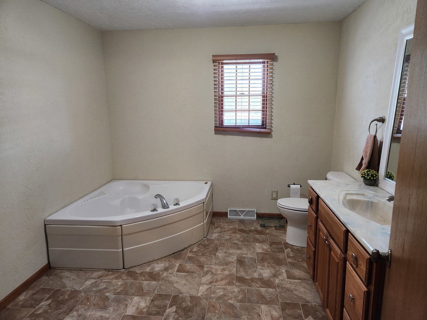 1275 Winn Road Sterling, IL 61081 - Photo 20 of 29 a bathroom with a sink and a toilet