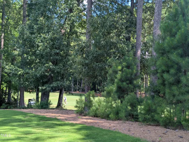 a view of a park with large trees