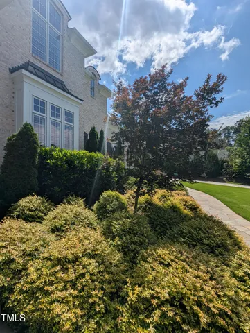 a view of a yard with plants and large trees