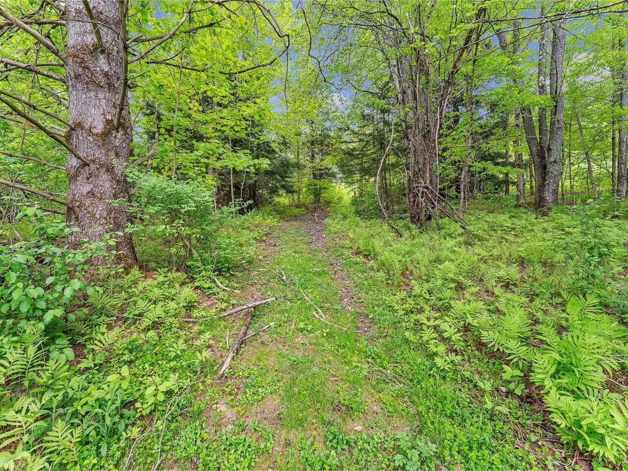 3567 River Road Duxbury, VT 05676 - Photo 14 of 18