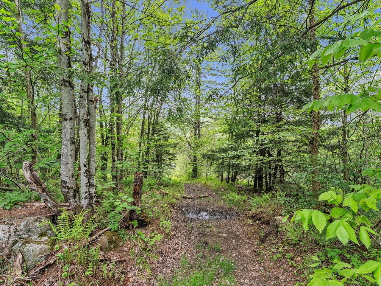 3567 River Road Duxbury, VT 05676 - Photo 16 of 18