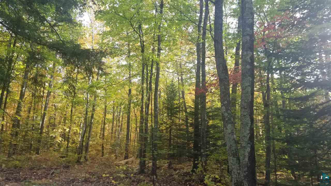 88-ccc Turner Road Bayfield, WI 54814 - Photo 34 of 41 Gallery Image 34