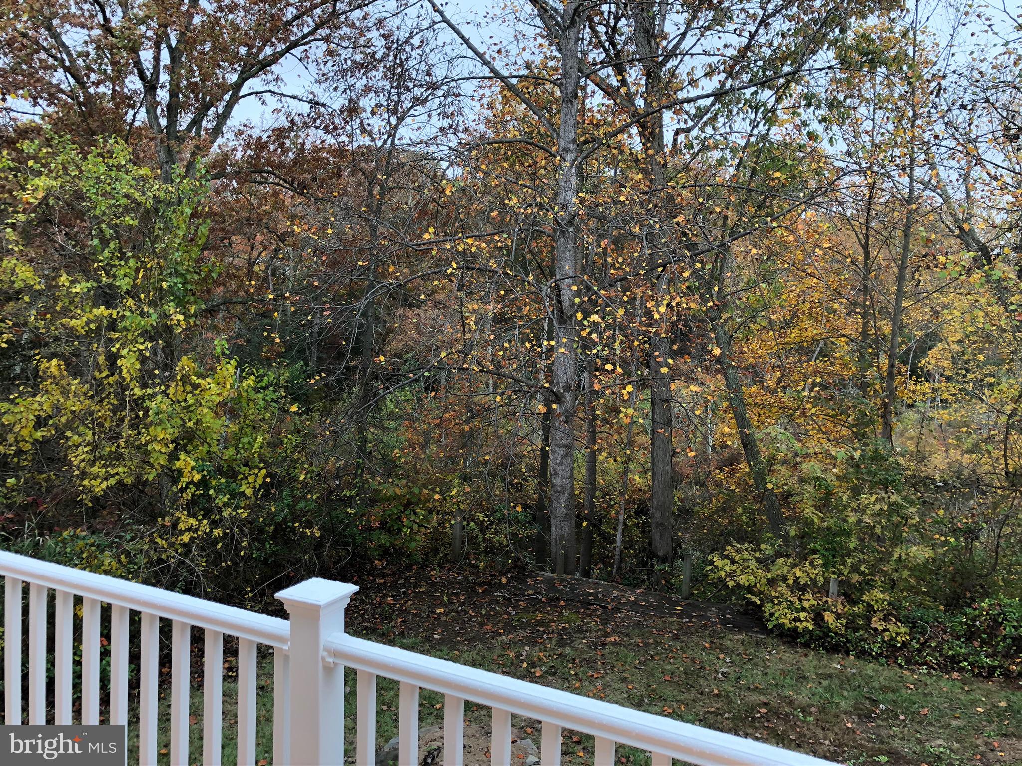 39 Elkinton Road Alloway, NJ 08001 - Photo 42 of 76