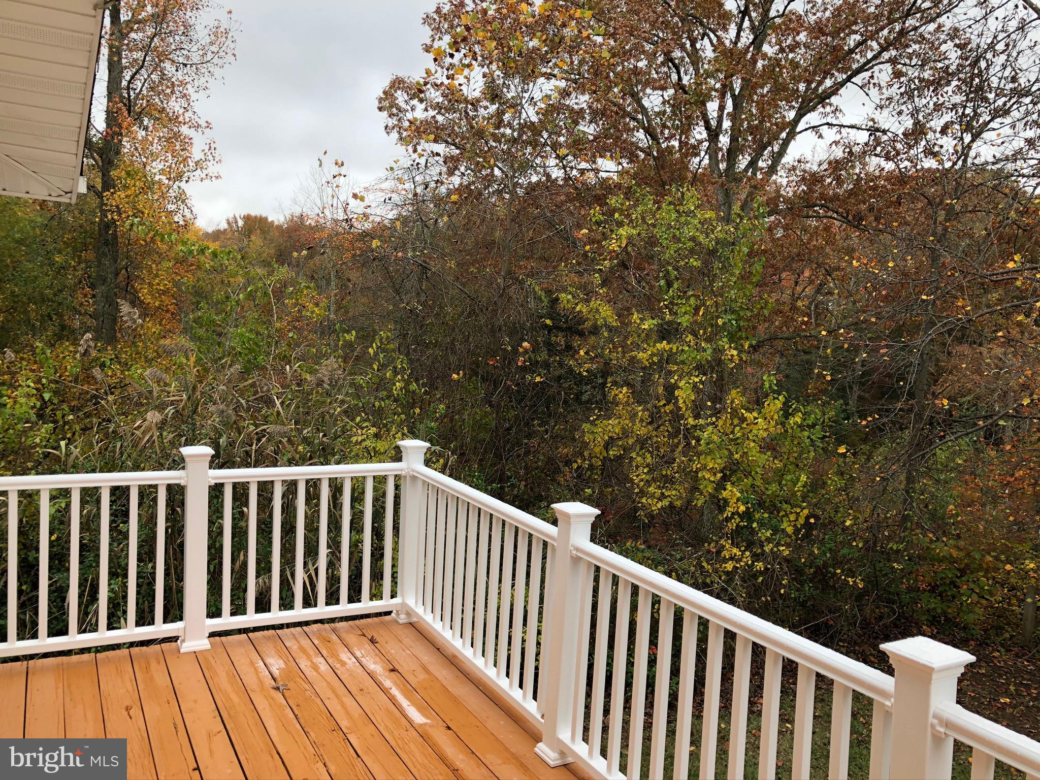 39 Elkinton Road Alloway, NJ 08001 - Photo 49 of 76
