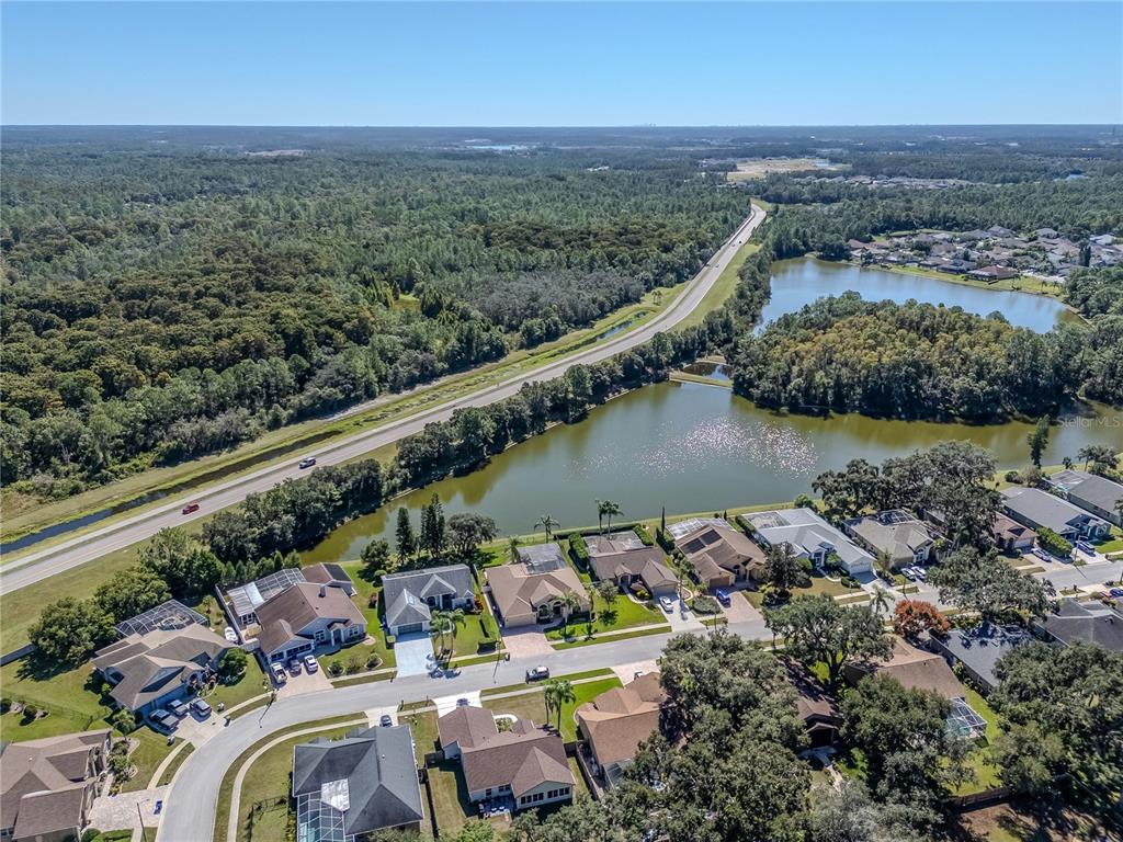4938 Yellowstone Drive New Port Richey, FL 34655 - Photo 44 of 51