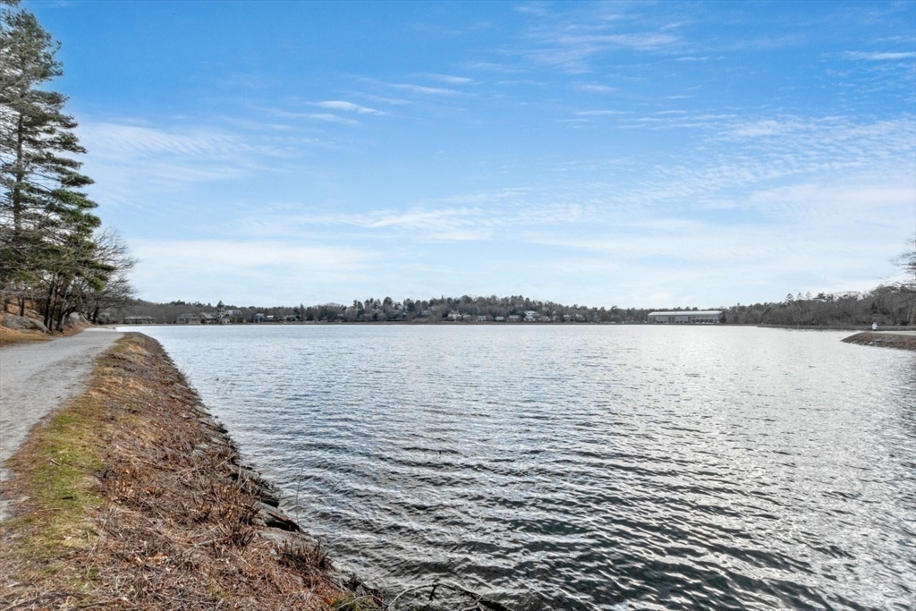 145 Chiswick Road, Unit 6 Boston, MA 02135 - Photo 22 of 23 Gallery Image 22