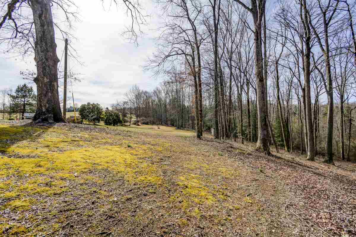 219 North Campbell Road Landrum, SC 29356 - Photo 18 of 26