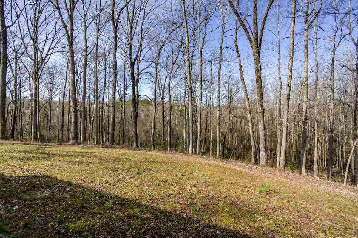 219 North Campbell Road Landrum, SC 29356 - Photo 20 of 26