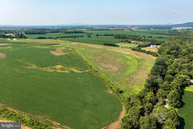 a view of a field with an ocean